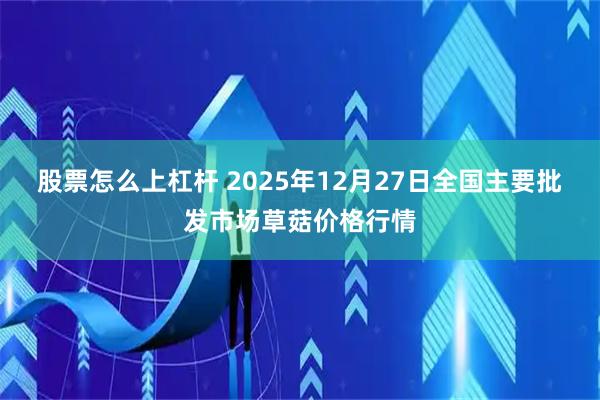 股票怎么上杠杆 2025年12月27日全国主要批发市场草菇价格行情