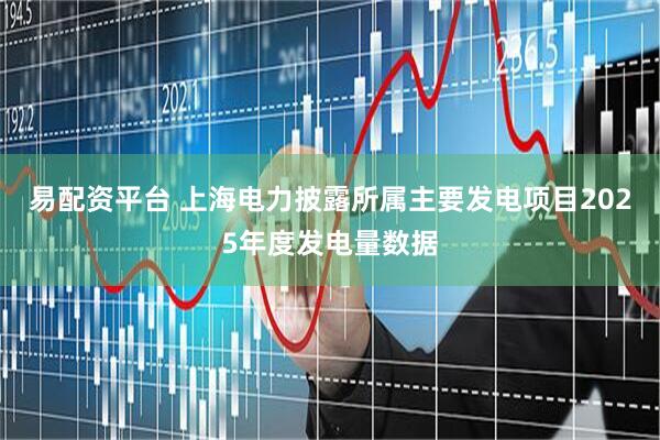 易配资平台 上海电力披露所属主要发电项目2025年度发电量数据