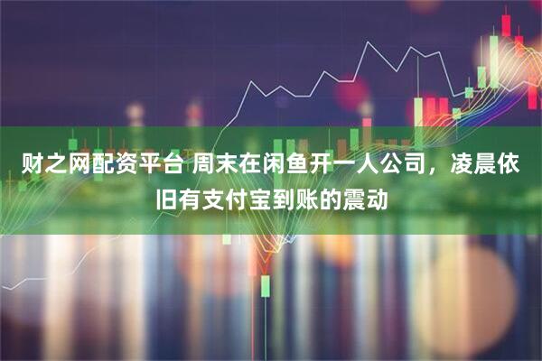 财之网配资平台 周末在闲鱼开一人公司，凌晨依旧有支付宝到账的震动